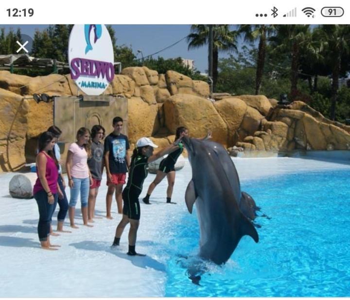 Appartamento Benalmádena MINERVA M&D 123 Esterno foto
